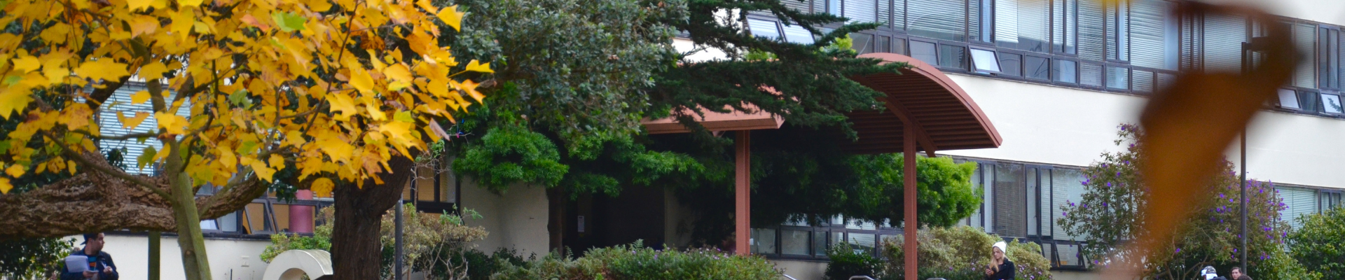 The Lam Family College of Business (LFCOB) in the Autumn
