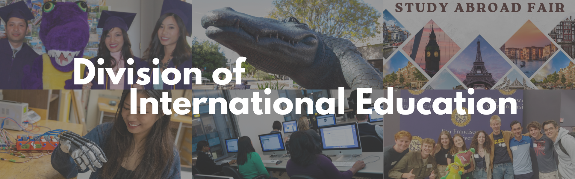 International Education Collage